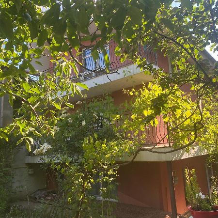 Ardelean Apartment Oradea Exterior photo