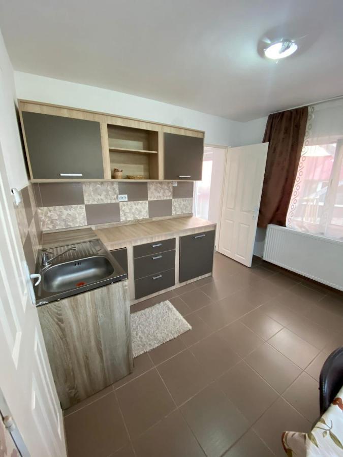 Ardelean Apartment Oradea Exterior photo