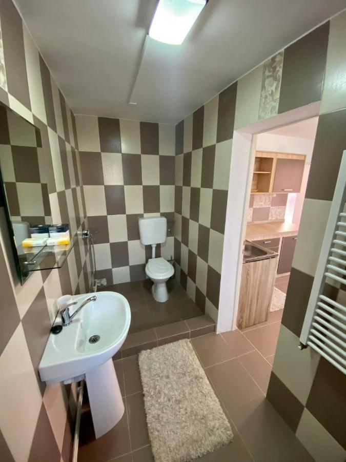 Ardelean Apartment Oradea Exterior photo
