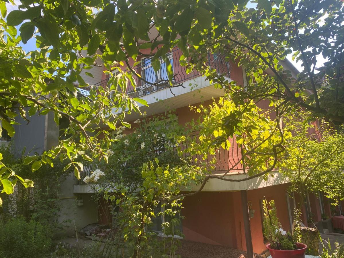 Ardelean Apartment Oradea Exterior photo