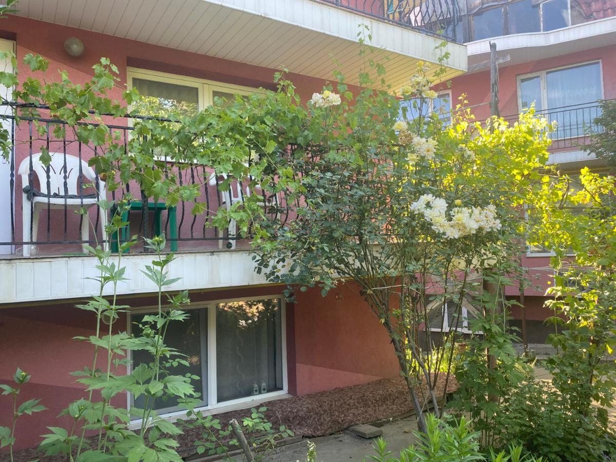Ardelean Apartment Oradea Exterior photo
