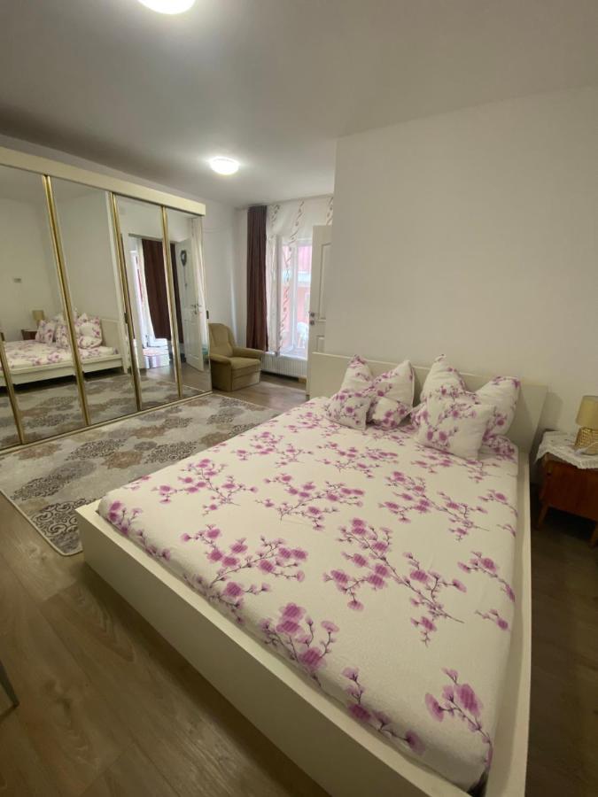 Ardelean Apartment Oradea Exterior photo