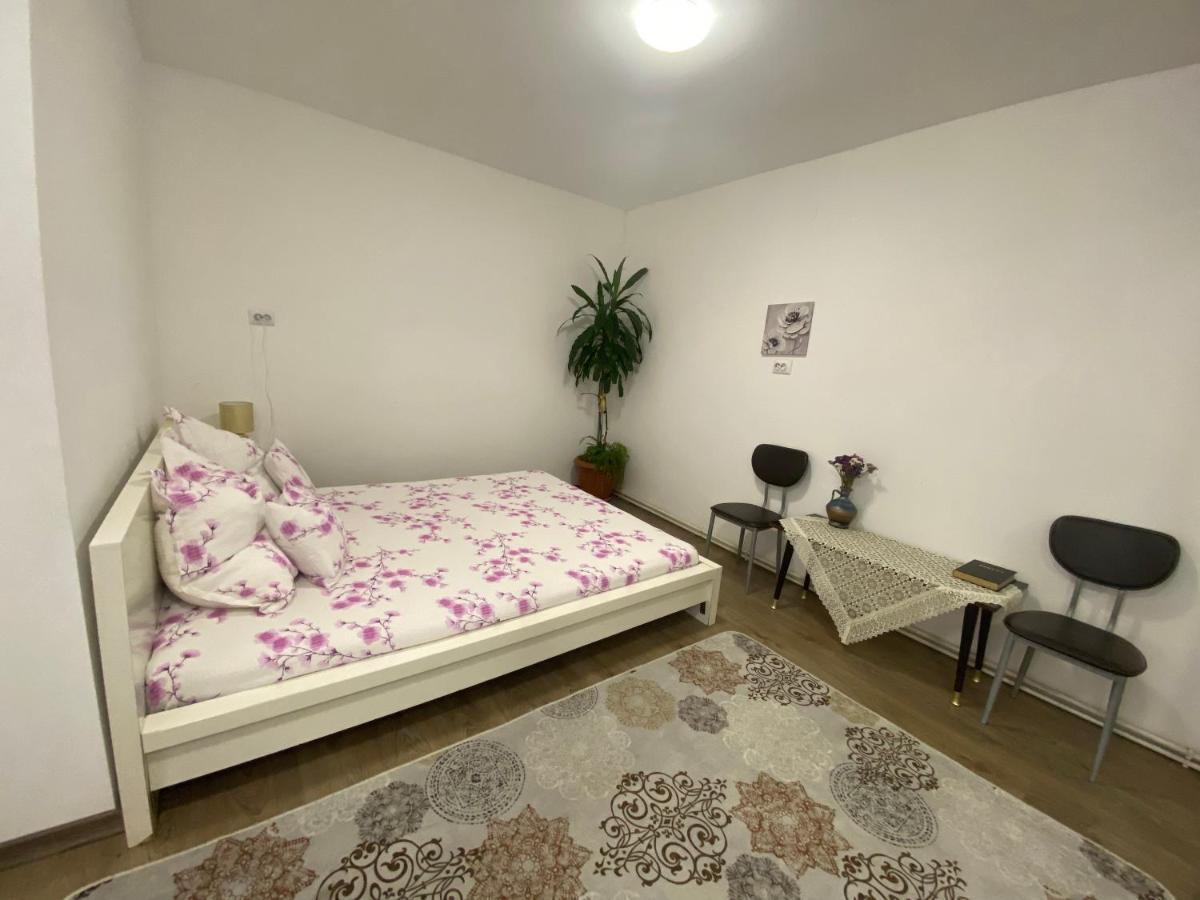 Ardelean Apartment Oradea Exterior photo